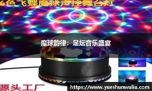 V体育