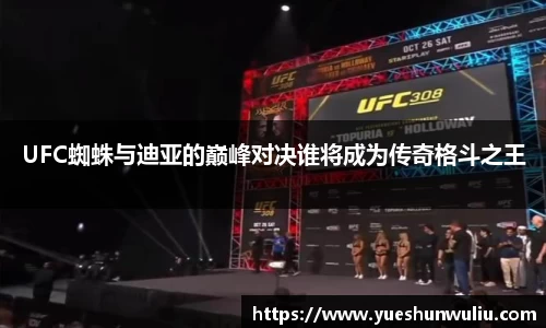 VSport-胜利因您更精彩