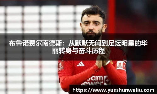 V体育