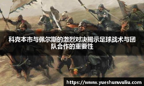 VSport-胜利因您更精彩