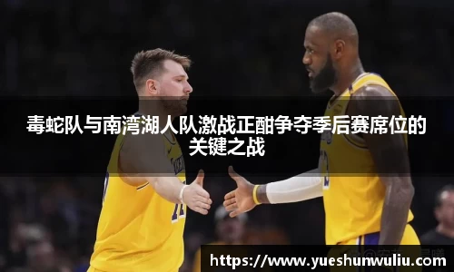 V体育