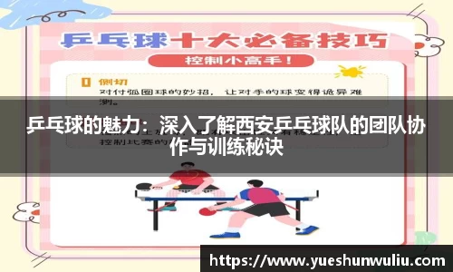 V体育