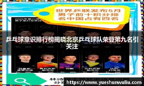 VSport-胜利因您更精彩
