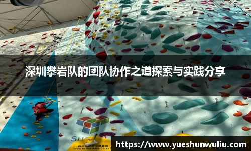 深圳攀岩队的团队协作之道探索与实践分享